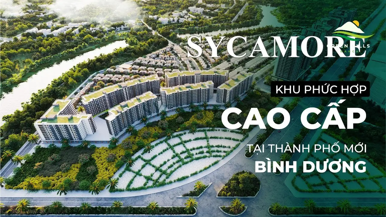 Quy mô và vị trí chiến lược của Sycamore Quy mô và vị trí chiến lược của Sycamore